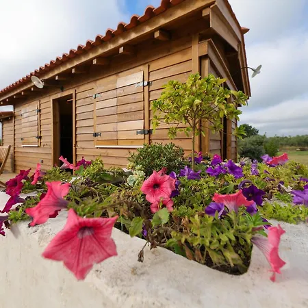 Renovated Wine Press House - With Pool Villa Porto de Mos  Room photo
