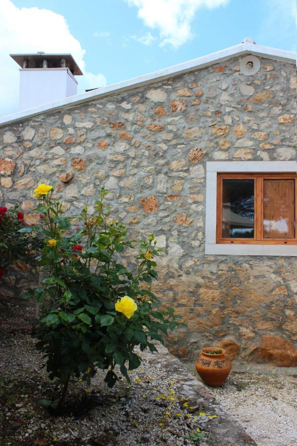 Renovated Wine Press House - With Pool Porto de Mos (Leiria)