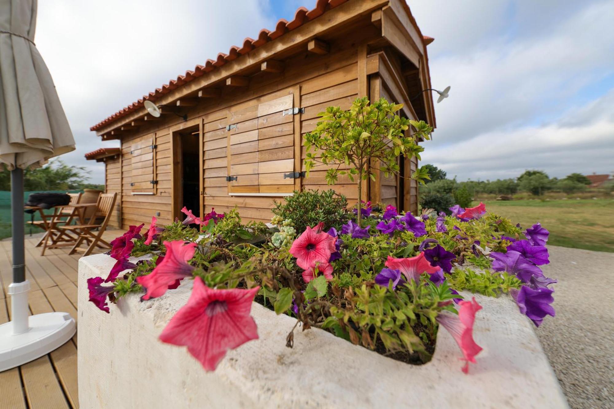 Holiday home Renovated Wine Press House - With Pool *