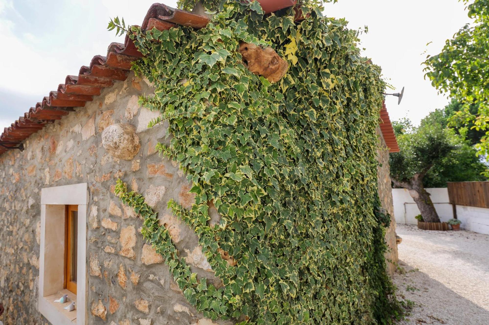 Renovated Wine Press House - With Pool Holiday home Porto de Mos (Leiria)